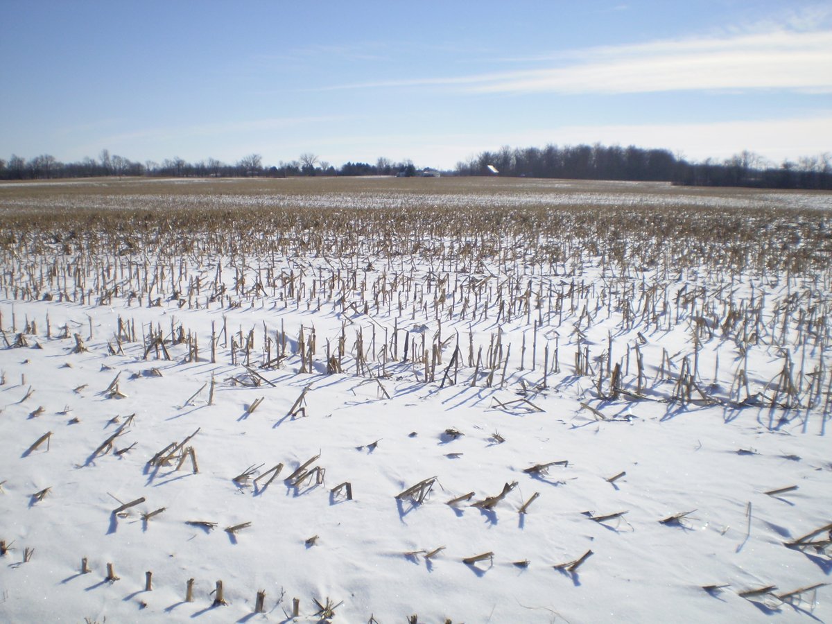 Property photo 14 - 76 Acres Offered in 4 Tracts